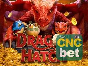 CNCBET PIX instantâneo Brasil - Depósito e saque em minutos 24/7