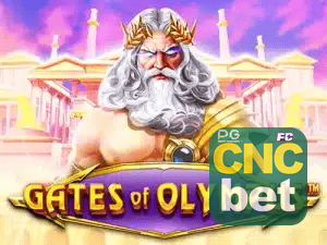 CNCBET APP mobile iOS Android - 187 mil downloads São Paulo Rio BH